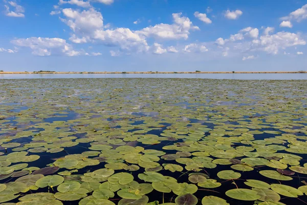 Delta del Danubio, Rumania — Foto de Stock