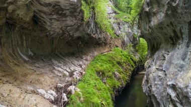 corcoaia gorge, Romanya