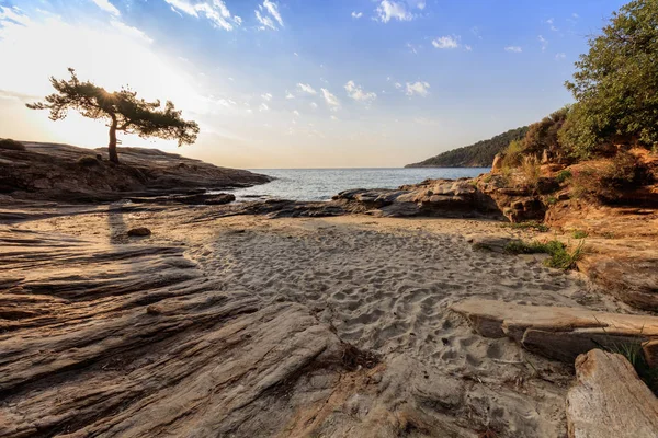 Sunrise on the beach — Stock Photo, Image