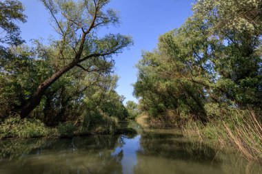 Tuna Deltası, Romanya