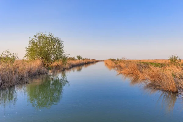 Danube Delta, Romania — Stock Photo, Image