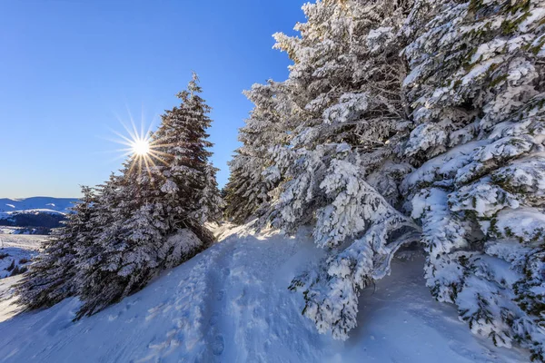 Zonsopgang in ciucas bergen, Roemenië — Stockfoto