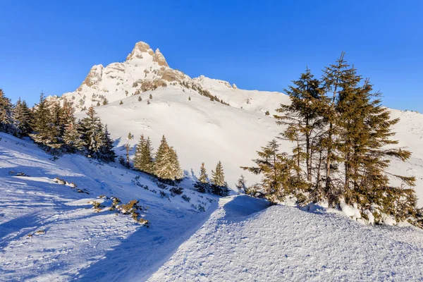 Berglandschaft im Winter — Stockfoto