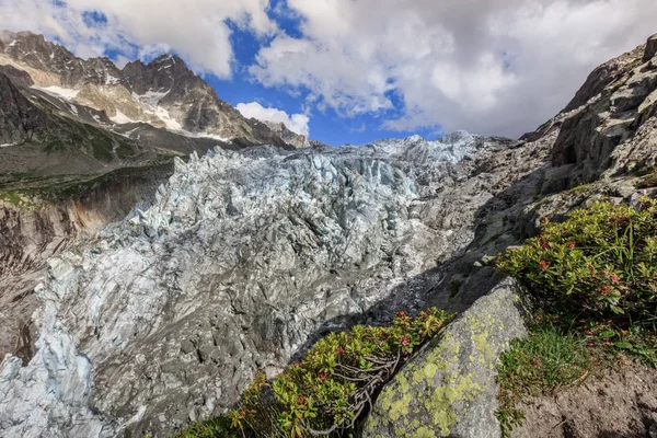 Argentiere glaciären i Chamonix Alperna, Frankrike — Stockfoto