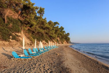 Kriopigi plaj. Kassandra Halkidiki Yarımadası, Yunanistan