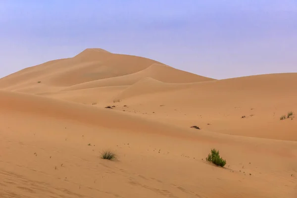 Sand dunes in Abu Dhabi desert — Stock Photo, Image