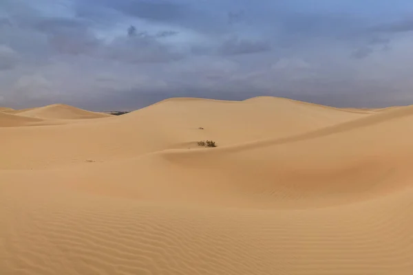 Dunas de areia em Abu Dhabi deserto — Fotografia de Stock