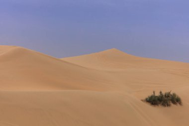 Abu Dabi çölünde kum tepeleri