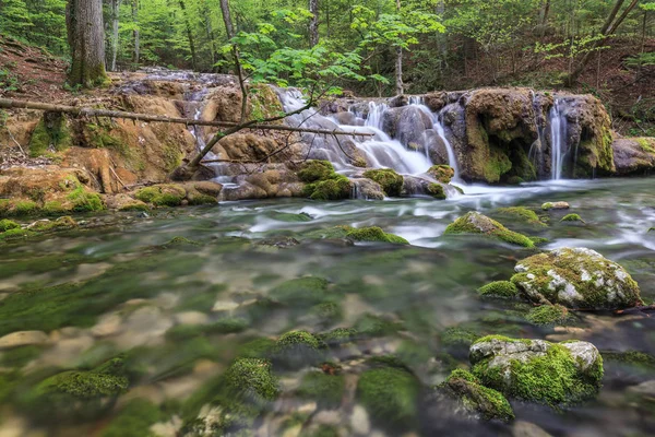 Río Beusnita Parque Nacional Beusnita Rumania —  Fotos de Stock
