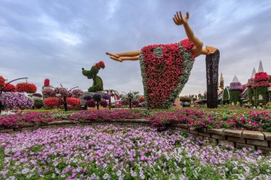 Mucize Bahçesi 'ndeki güzel çiçek süslemeleri. Dubai, Birleşik Arap Emirlikleri