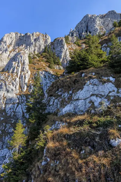 Bergslandskap Piatra Craiului Mountains Rumänien — Stockfoto
