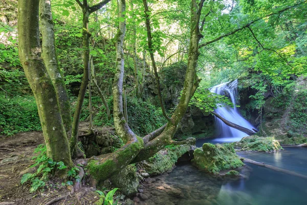 Vaioaga Wodospad Park Narodowy Beusnita Rumunia — Zdjęcie stockowe