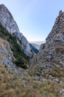 Romanya 'nın Piatra Craiului Dağları' ndaki dağ manzarası