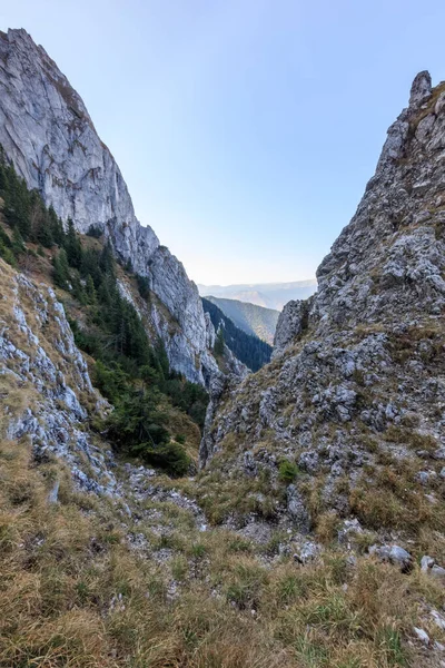 Горный Пейзаж Горах Пьятра Крайулуй Румыния — стоковое фото