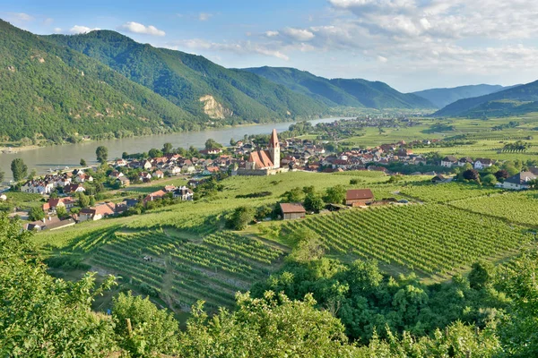 Scenic View into Wachau with danube river — Stock Photo, Image