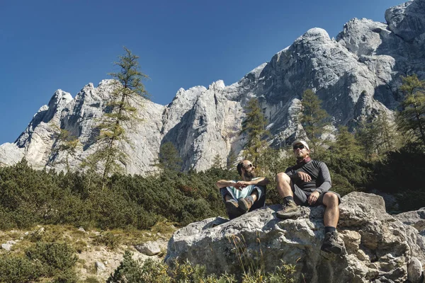 Avusturya Kireçtaşı Alpleri 'ndeki Gesause Ulusal Parkı' ndaki Hochtor sıradağlarına bakan yürüyüşçü.