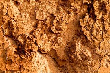 Bataklık mavi arka plan