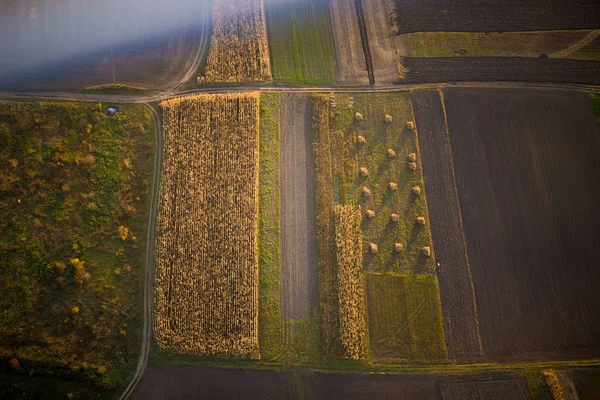 Fotografia lotnicza różnych pasków pola — Zdjęcie stockowe