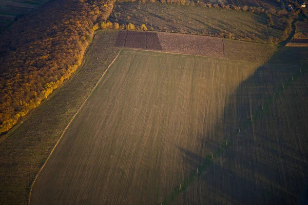 Flygfotografering av olika remsor av fältet — Stockfoto