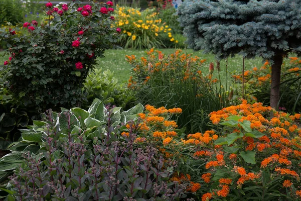 Yaz bahçe çiçek, ağaçları ve çalılar ile.