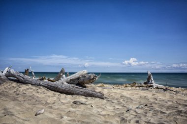 superior Gölünün kıyısındaki