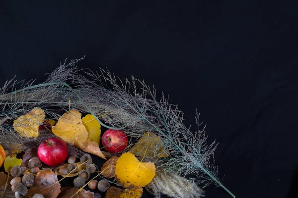 Äpfel Blätter und Heidekraut — Stockfoto