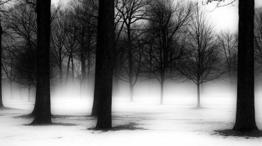 Kış ağaçlar Michigan