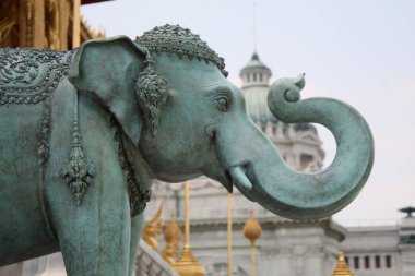 Chang Phueak (beyaz fil)