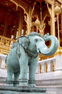 Chang Phueak (beyaz fil)