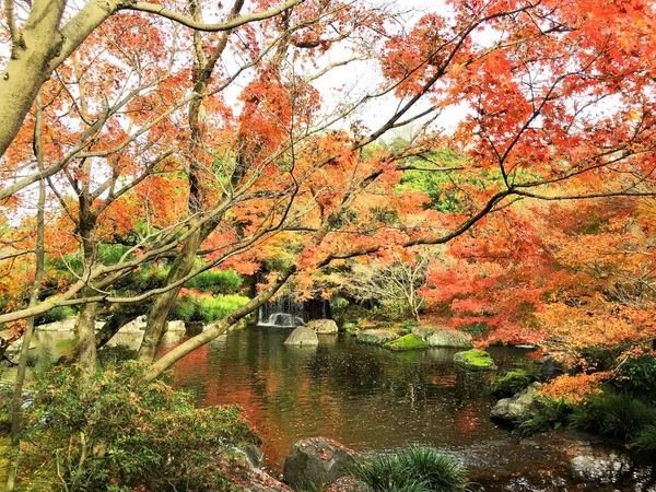京都を紅葉します。 — ストック写真