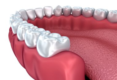 Takma diş üzerinde beyaz izole. Tıbben doğru 3d çizim 