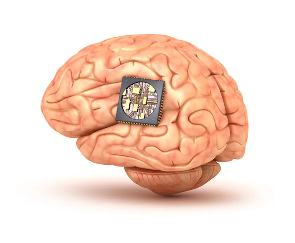 Cerebro humano con chip de computadora 3D renderizado —  Fotos de Stock