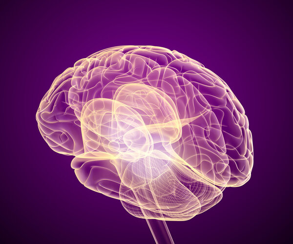 Сканирование мозга, рентген
 