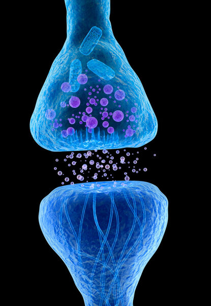 Active receptor macro view isolated on white