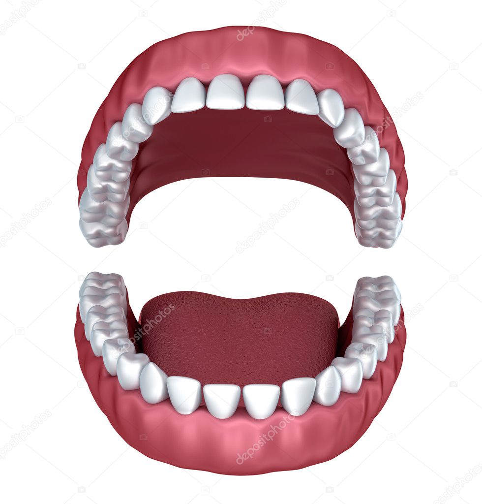 Opened denture isolated on white . 3D rendering Stock Photo by ©Alexmit
