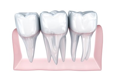 Beyaz arka plan üzerinde diş. Kavram simgesi. Tıbben doğru 3d çizim 