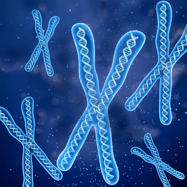 Концепция молекул хромосом, медицинская точная 3D иллюстрация — стоковое фото