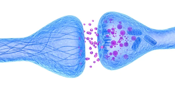 Etkin reseptör makroyu görüntüleme izole üzerinde beyaz, tıbbi doğru 3d çizim — Stok fotoğraf