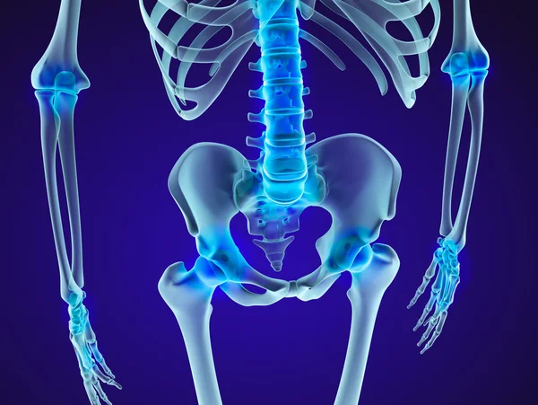 Esqueleto humano: pelvis y sacro. Vista de rayos X. Ilustración 3D médicamente precisa — Foto de Stock