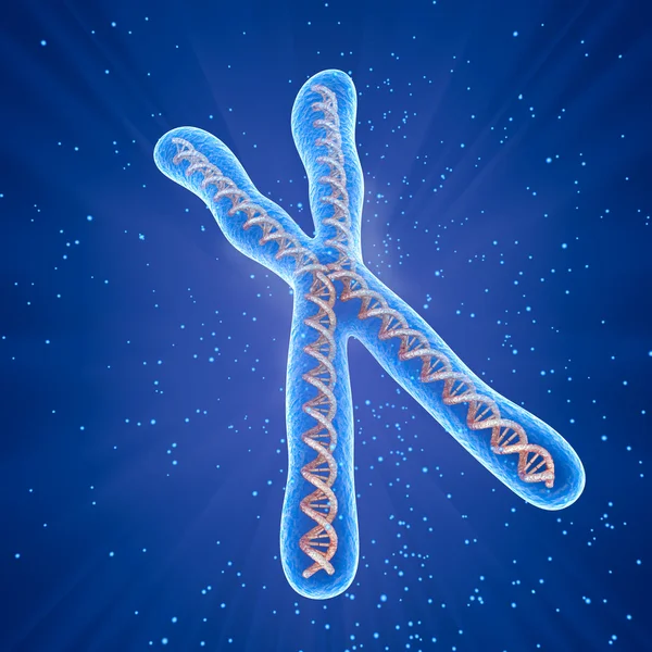 Концепция молекул хромосом, медицинская точная 3D иллюстрация — стоковое фото