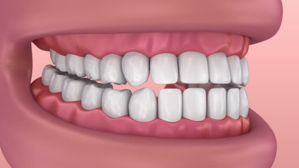 Zahnfleisch und Zähne. medizinisch korrekte 3D-Animation der Zähne.