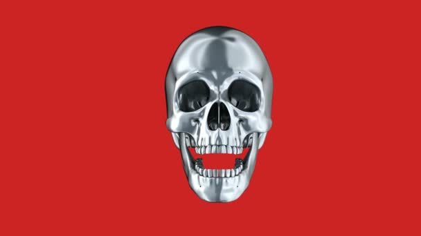 Metallic Human Skull Animation — Stock Video