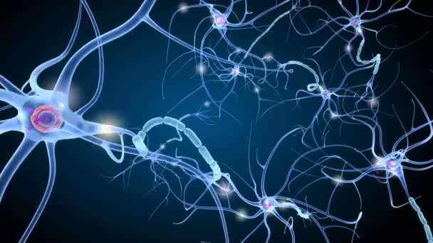 Sinir hücresi anatomi ayrıntılarda. 3D animasyon — Stok video