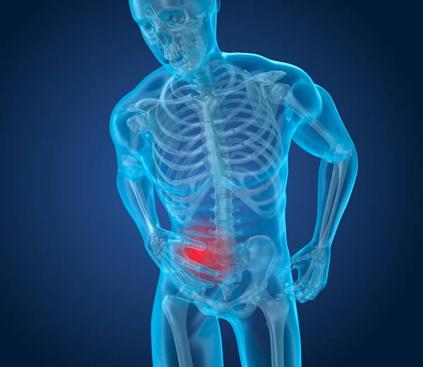 Man is feeling pain under her ribs. 3D illustration