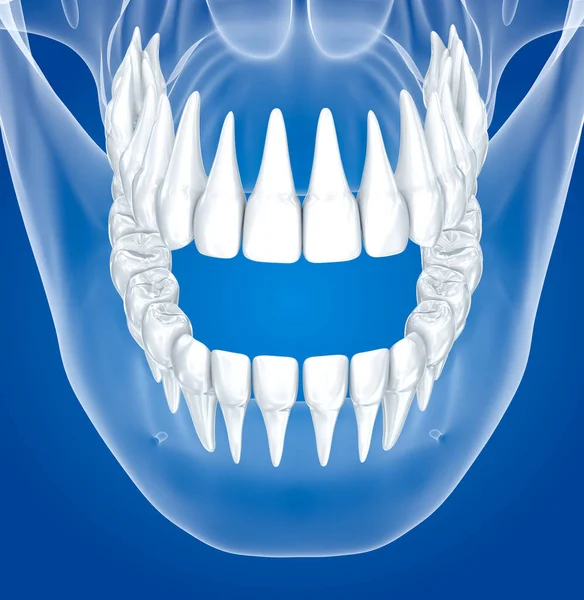 Transparentní Lebky Zuby Xray Pohled Obrázek — Stock fotografie