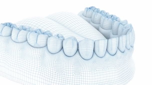 Morfología de las encías y dientes humanos mandibulares. Alambre animación modelo 3d — Vídeos de Stock