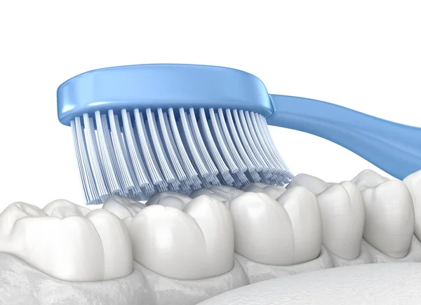 Diş Fırçası Temizleme Dişleri Beyaza Izole Edilmiş Ağız Hijyeninin Tıbbi — Stok fotoğraf