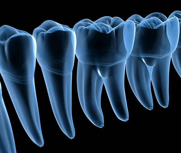 Anatomia Dentale Delle Gengive Dei Denti Umani Mandibolari Vista Raggi — Foto Stock