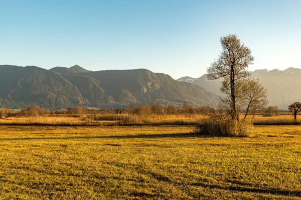 Murnauer Moos kış manzara