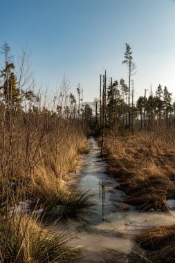 Nicklheim vahşi bir akış büyük yansımaları ile